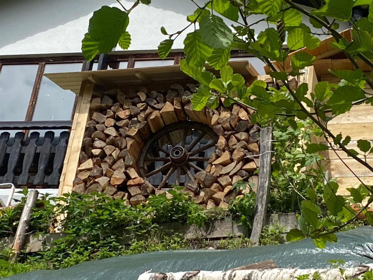 La Irmania Pension Ledenitzen Kültér fotó